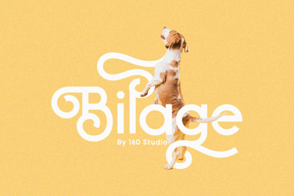 Bilage Font: Elevate Your Design with Handwritten Charm