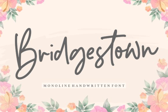 Bridgestown: Elevating Your Visual Identity